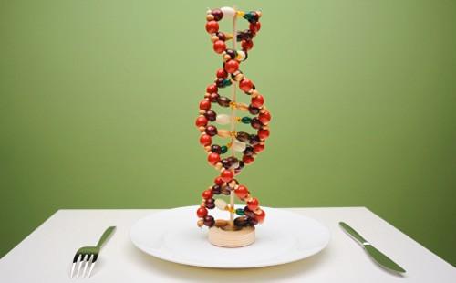 DNA-Modell auf einer Platte