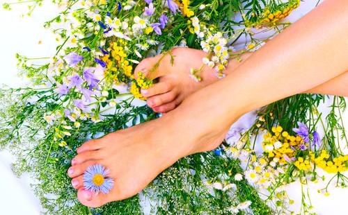 Nohy na květy a trávy.