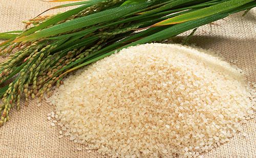 Rezept für Reismilchbrei, eine Beilage auf dem Wasser und Gerichte mit Eintopf