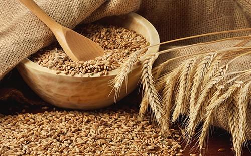 Пшенично зърно - сила на природата, преминала през вековете