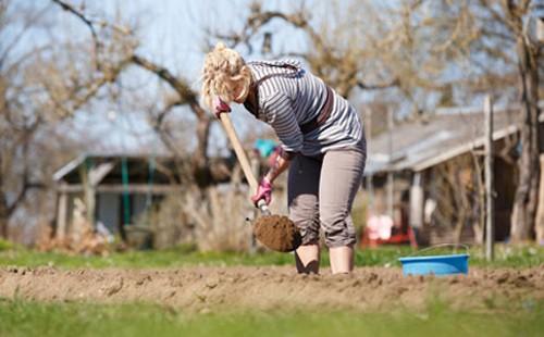Žena kape lopatu v zahradě