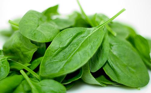 Mga dahon ng spinach