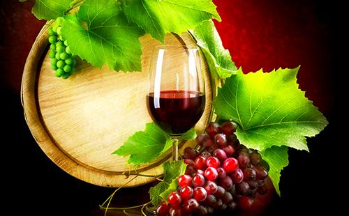 Sklenka červeného vína na pozadí barel a hroznové listy.