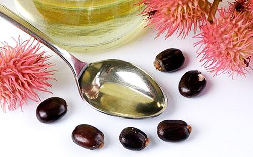 Ricinový olej a semena