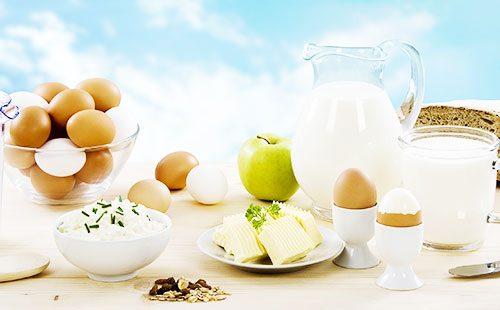 Produits laitiers et œufs