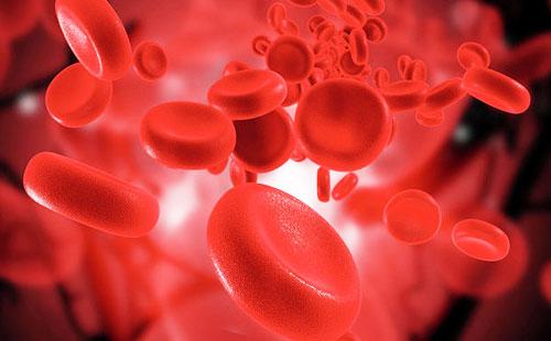 Punaiset verisolut