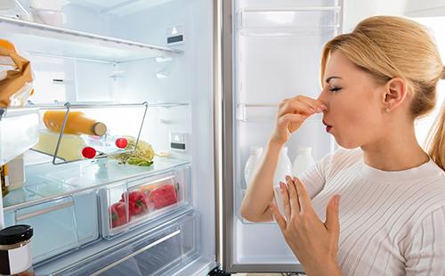 Die Frau roch einen üblen Geruch aus dem Kühlschrank