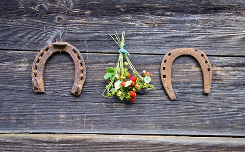 Deux fers à cheval et un bouquet de fraises des bois