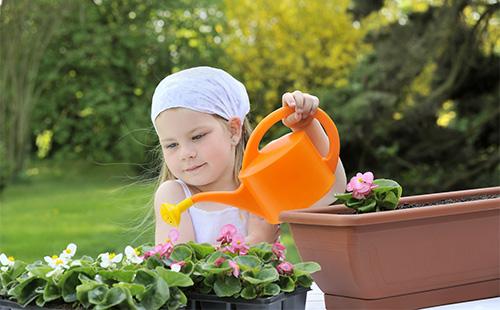 Meisje begonia potten water geven