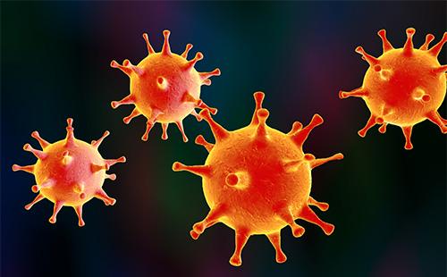 Virus de l’herpes