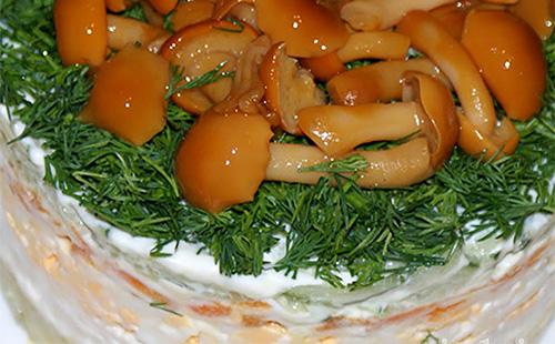 Houbový salát s lesními houbami
