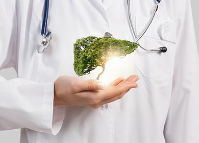Az orvos kezében egy zöld fa az egészséges májot jelképezi