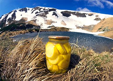 Haben Sie mit in Büchsen konservierter Zucchini auf einem Hintergrund von Bergen ein Bankkonto