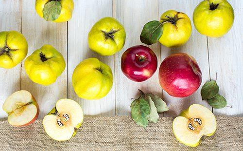 Červená jablka a žluté kdoule na stole