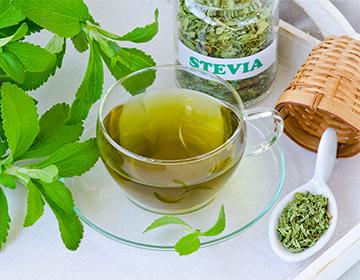Stevia-Tee
