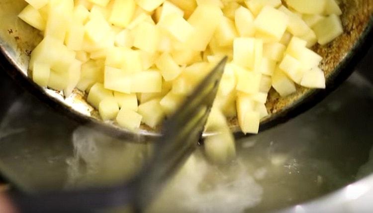 Fügen Sie Kartoffeln dem zukünftigen Borschtsch hinzu.