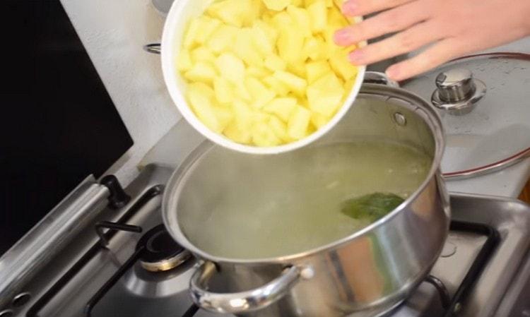 Wir schicken Kartoffeln in eine kochende Brühe.