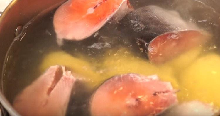 Tagliare il salmone rosa a pezzi e aggiungerlo al brodo.