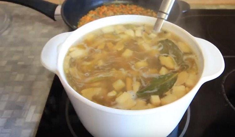 Fügen Sie Salz und Gewürze der Suppe hinzu.