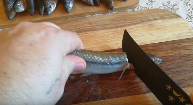 Tagliamo la testa del pesce e lo tiriamo delicatamente per la coda, in modo che gli interni vengano estratti.