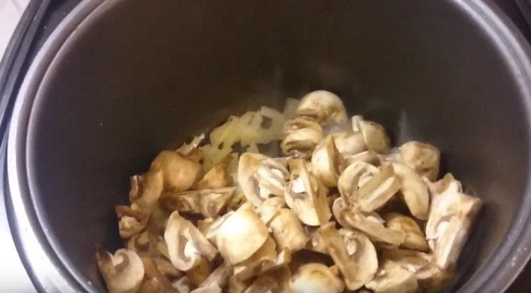 In die Mehrkochschüssel legen Sie die Zwiebeln und dann die Pilze.