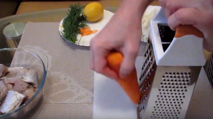 Su una grattugia grossa, tre carote.