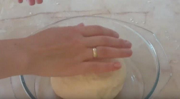Поставете полученото меко тесто в купа, намазана с растително масло, и го оставете на топло място.