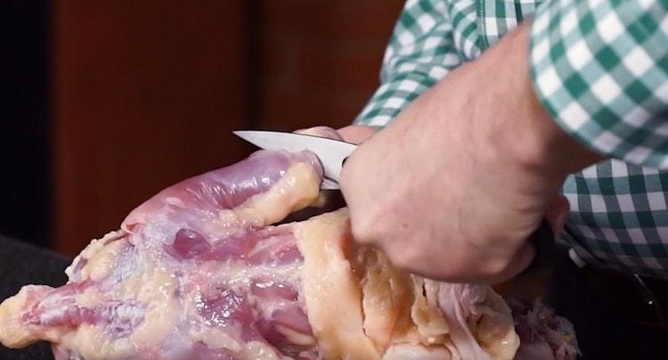 Separando la pelle nella parte inferiore della carcassa, tagliare la parte inferiore delle gambe con essa e lasciare la coscia.