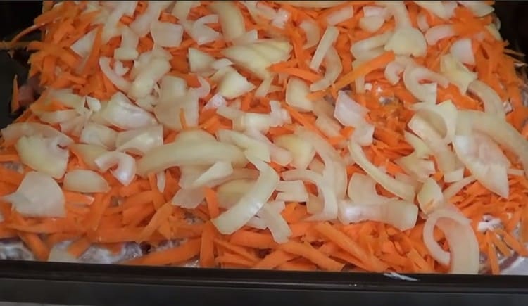 Wir verteilen Karotten auf Mayonnaise. und dann den Bogen.