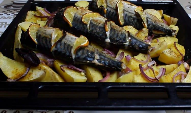 Makrele im Ofen mit Kartoffeln, nach diesem Rezept zubereitet, ist ein wunderbares vollwertiges Gericht.