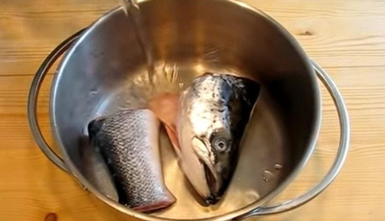 Liemin valmistamiseksi voit käyttää kalan päätä ja häntää.
