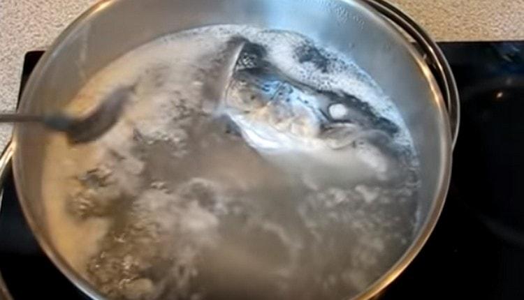 Напълнете рибата с вода, когато бульонът заври, отстранете пяната от нея.