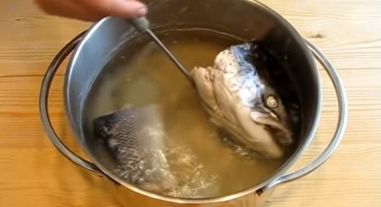 Odstraňte ryby a cibuli z hotového vývaru.