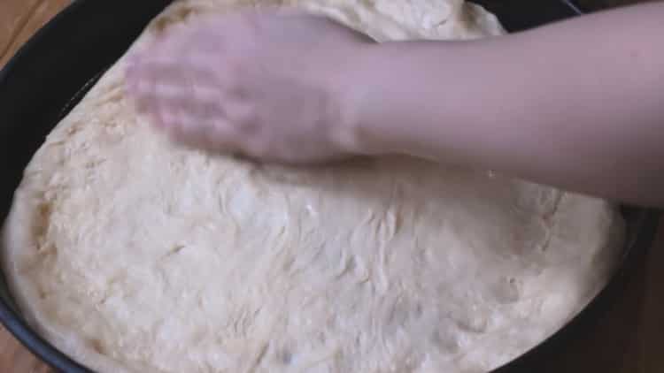 Leg het deeg in de vorm om pizza in de oven te maken