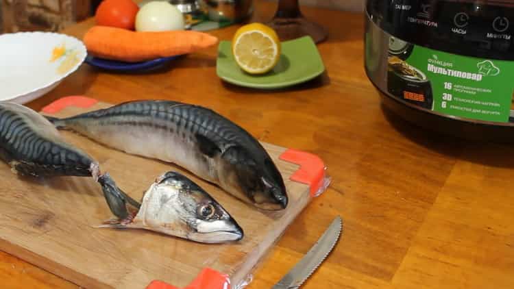 Bereiten Sie die Zutaten vor, um Makrelen in einem langsamen Kocher zuzubereiten