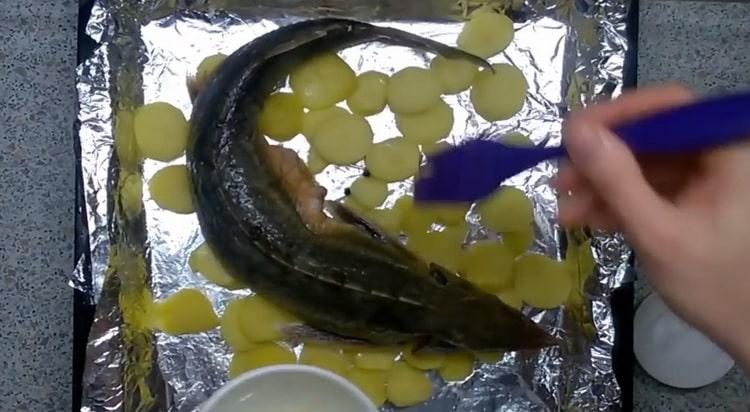 Steriilin valmistamiseksi rasvaa kala