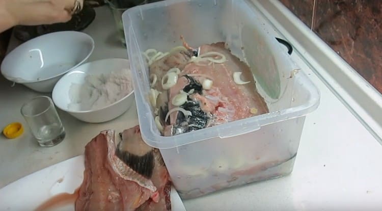 Tra i pezzi di pesce disponiamo anche la cipolla tagliata a rondelle.