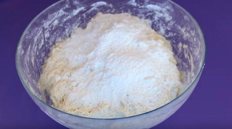Impastare la pasta, aggiungendo gradualmente farina.