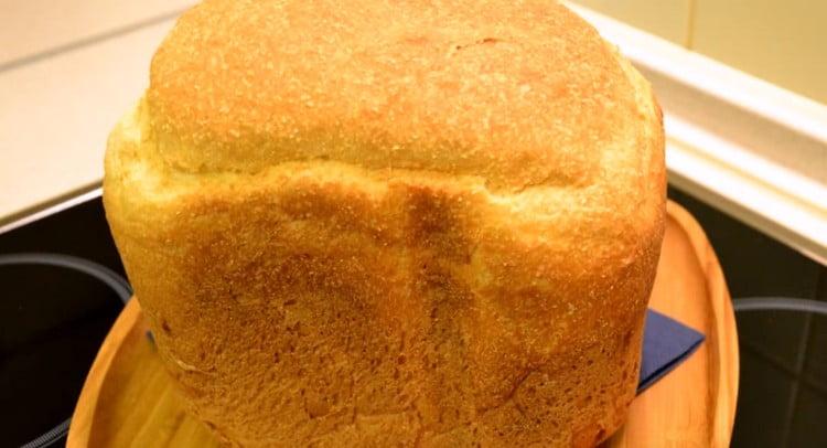Appetitliches Maisbrot, das in einer Brotbackmaschine zubereitet wird, wird Sie mit einer köstlichen knusprigen Kruste verwöhnen.
