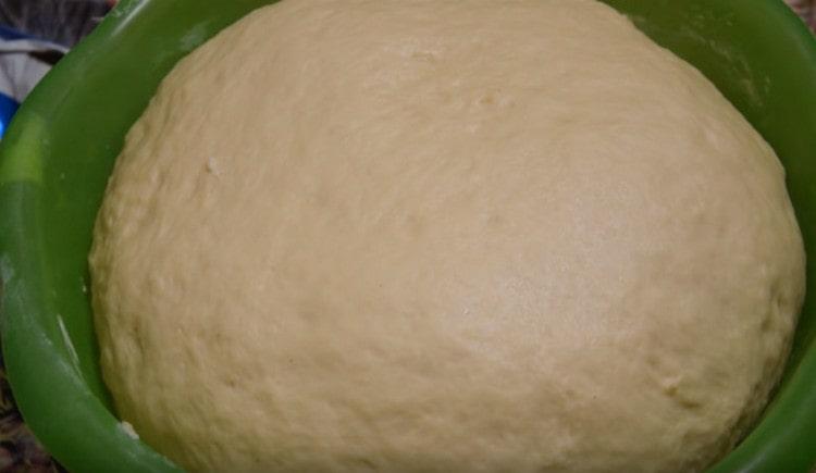 La pasta frolla al lievito di burro è pronta per l'uso.