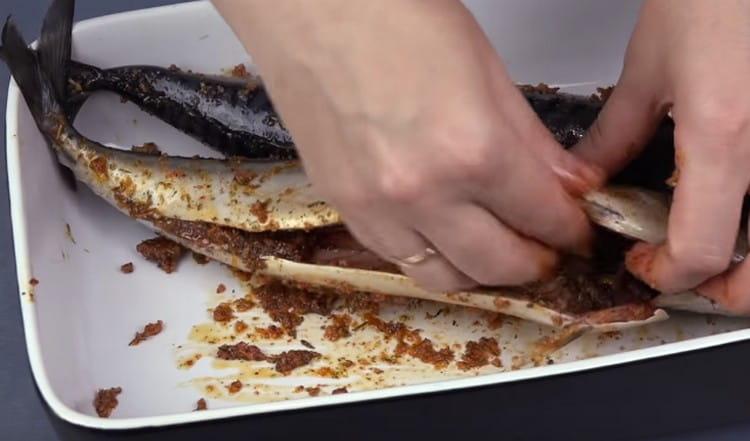 Nachdem Sie die Makrele in einen Behälter mit Seiten gelegt haben, reiben Sie sie mit einer Mischung aus Gewürzen.
