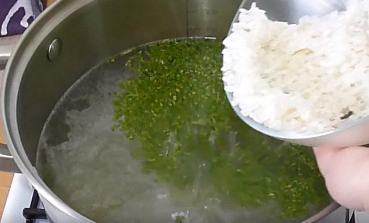 Geben Sie getrocknete Petersilie und Reis erneut in die gekochte Brühe.