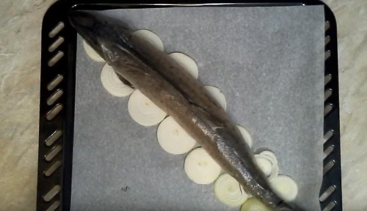 نضع سمك السلمون الوردي على وسادة البصل ونرسله إلى الفرن.