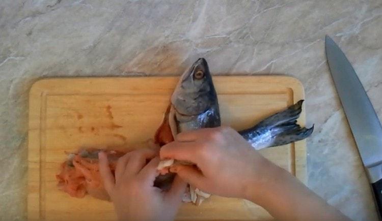 Dopo aver fatto un'incisione vicino alla testa, rimuoviamo la carne dalla pelle del pesce.