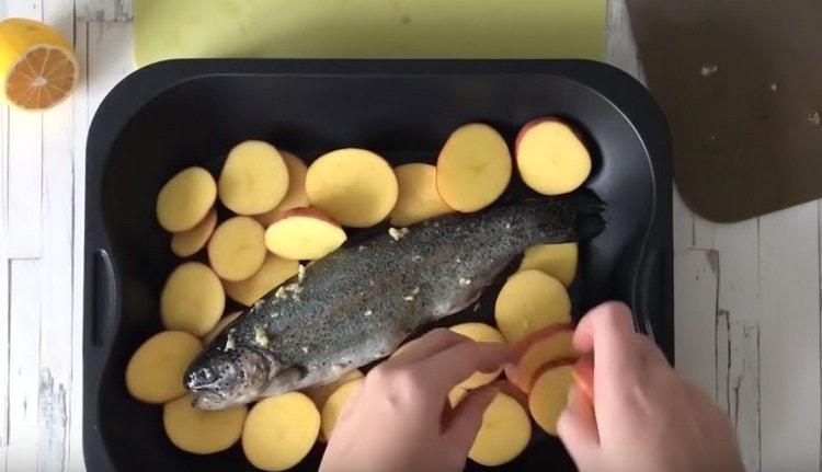 Поставете картофите в съда за печене, поставете рибата върху него.