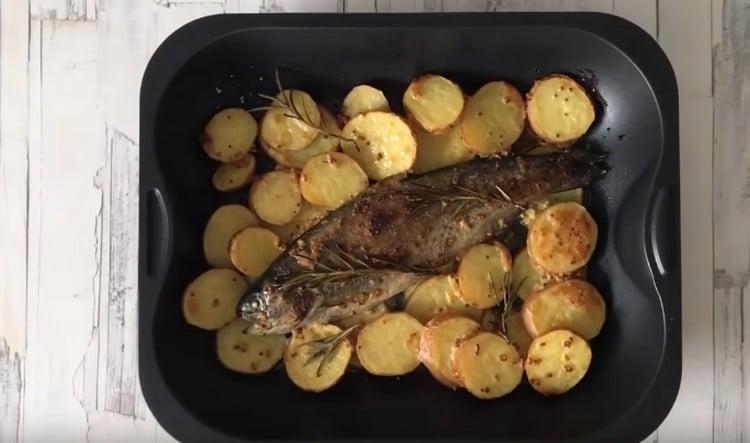 Wir backen Forellen mit Kartoffeln im Ofen und genießen den Geschmack eines wunderbaren Gerichts.