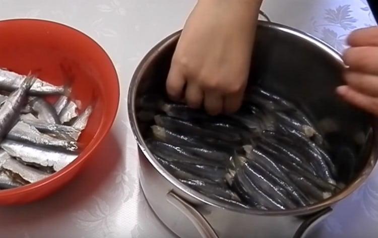 توضع الأسماك التي يتم تنظيفها وغسلها بإحكام في مقلاة مع ظهورهم للأعلى.