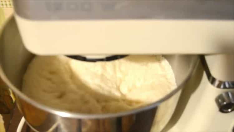 Per preparare panini rigogliosi, impastare la pasta