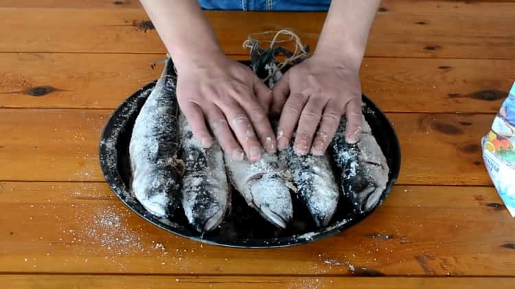 Bereiten Sie Salz zu, um heiß geräucherte Makrelen zuzubereiten