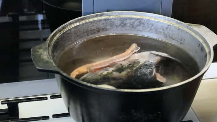 Per cucinare la zuppa di salmone, fai bollire il brodo